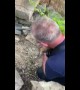 North Charleston Fire Department rescues puppy from pile of rocks