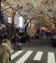 On Tokyo's Sakura Street, cherry blossoms bring traffic to a standstill