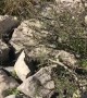 Mountain Goat Rescued from Rock Crevice
