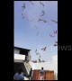 Hundreds of saris sent flying by high winds in eerie clip from west India