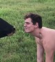 Man Gets a Kiss from a Cow