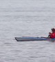 Killer whale unbelievably swims right beside man in kayak