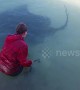 Giant poisonous stingray swims up to woman so she can stroke him