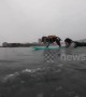Adventurous spaniel learns how to surf the waves with his owner in Japan