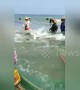 Chinese fishermen free enormous shark trapped in fishing net