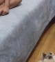 Little Girl and Shih Tzu Share Duet