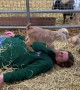 Tiny Goat Stomps Woman's Face
