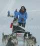 Fjällräven Polar event sees over 200 sled dogs travel 300km through Scandinavia
