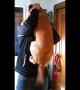 Dog can\'t contain excitement after seeing owner for first time in months