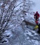 Fire department crew rescues deer from frozen lake