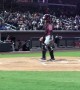 Umpire Learns Not to Interrupt Bat Dog