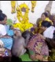 Heartwarming moment monkey consoles mourners at funeral in southern India