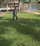 Golfing Gender Reveal Fail