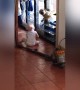 Adorable moment puppy and baby break into house