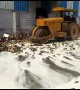 Indian authorities steam-roller more than 11,000 cans of expired beer