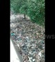 Video shows horrific scale of plastic pollution in Indonesian mangrove swamp