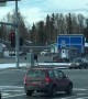 Moose Casually Crosses Busy Street