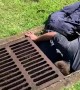 Florida fire crew rescues ducklings from drain