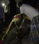 Devotees hold emotional funeral for tame elephant in south India