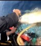 Sailors rescue turtle trapped in fishing net in Arabian Sea