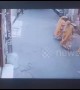 Terrifying moment raging bull rams into shoppers in northern India