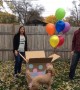 Epic Gender Reveals
