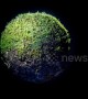 Artist creates eerie miniature world out of moss only 5cm in diameter