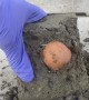 Boiling an Egg with Setting Cement