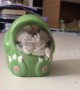 Chubby hamster wiggles into a ceramic dinosaur