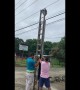 Tourists and locals team up to rescue sloth hanging from electrical wires