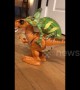 T-Rex taxi: US Chameleon goes for a ride on a walking toy