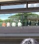 Japan's Emperor Naruhito greets public for the first time