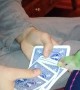 Parrot Picks a Card