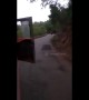 Give way to oncoming wildlife! Terrified driver reverses bus after spotting elephant