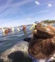 Manatee Hugs the Human