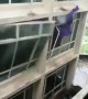 Cyclone Fani rips through windows of university campus in India