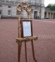 ‘It’s exciting!’ Tourists queue outside Buckingham Palace to glimpse royal baby easel