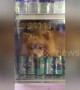 Pomeranian cools off in fridge during heatwave in Thailand