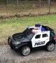 This little piggy went for a ride in a US police car