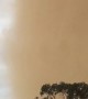 Dust Storm Turns Day into Night in Under a Minute