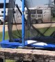 Bull Totals the Trampoline