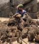Tourist overwhelmed as dozens of wild monkeys swarm around him