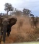 Scary moment shows elephant attacking safari jeep