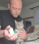 Adorable moment asthmatic cat receives special inhaler treatment