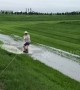 US man pulls off a 360 spin whilst wakeboarding in a flooded ditch