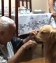 Great Grandfather Polishes the Pups Teeth