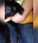 Sweet Dog Loves to Nap with Owner