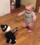 Dancing Babies