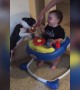 Baby Loves Getting Kisses from Dog