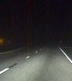 Self Driving Car Swerves to Save Bunny